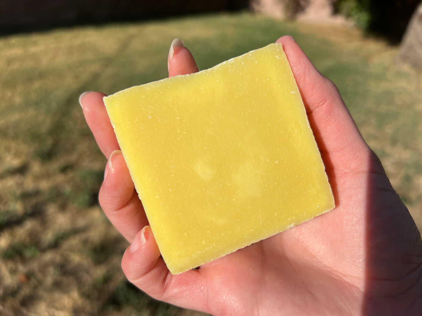 Moonlit Pine Soap