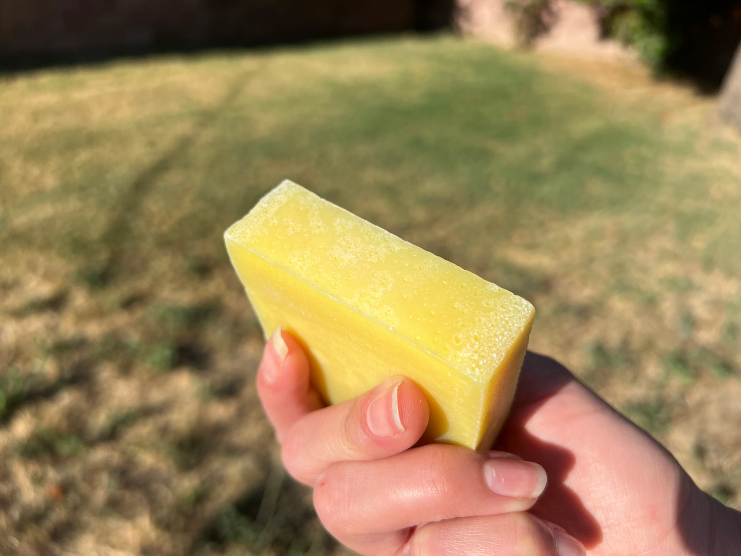 Moonlit Pine Soap