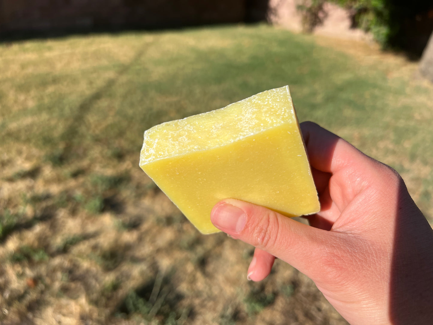 Moonlit Pine Soap