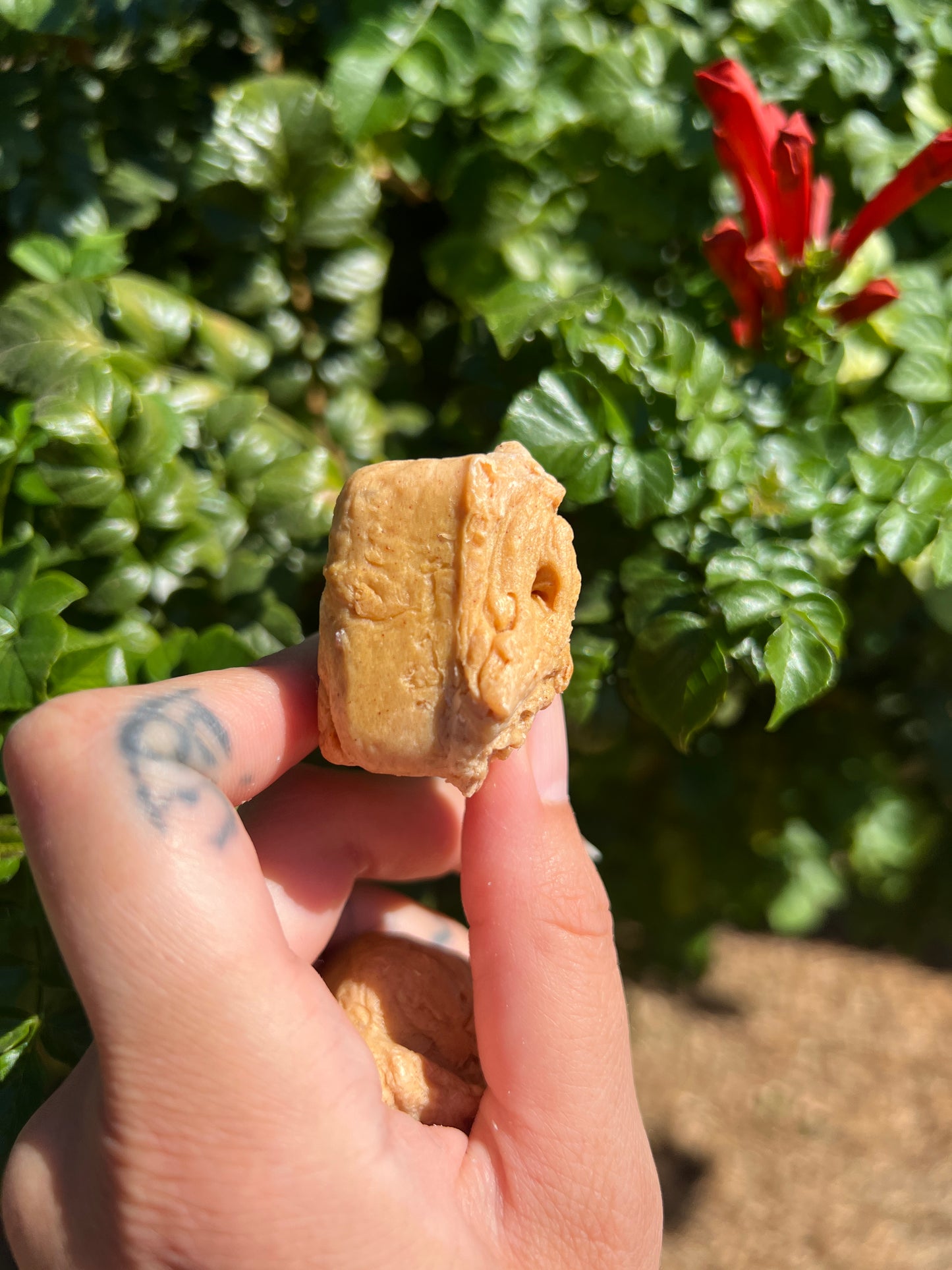 Turmeric Trance Soap