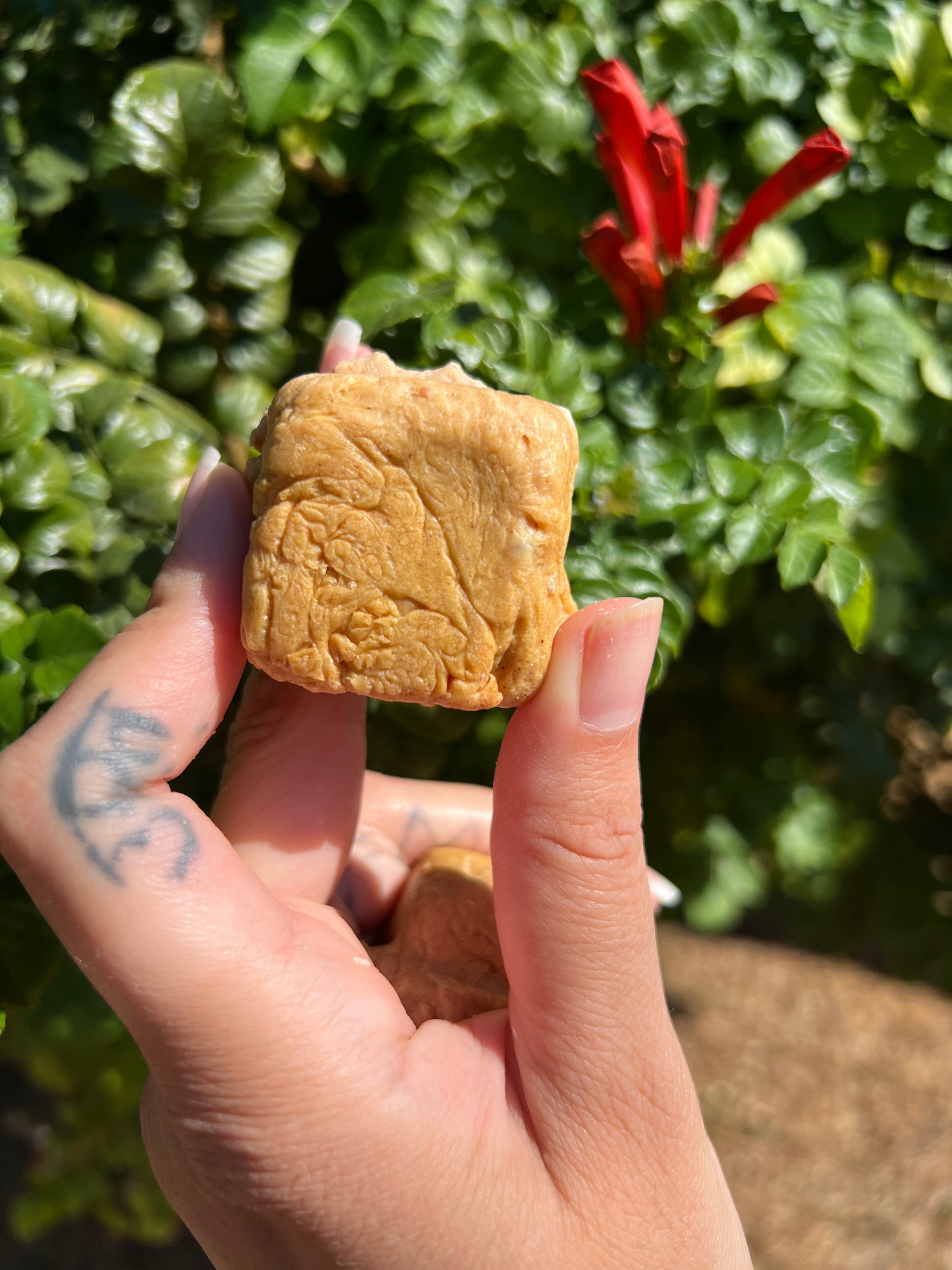 Turmeric Trance Soap