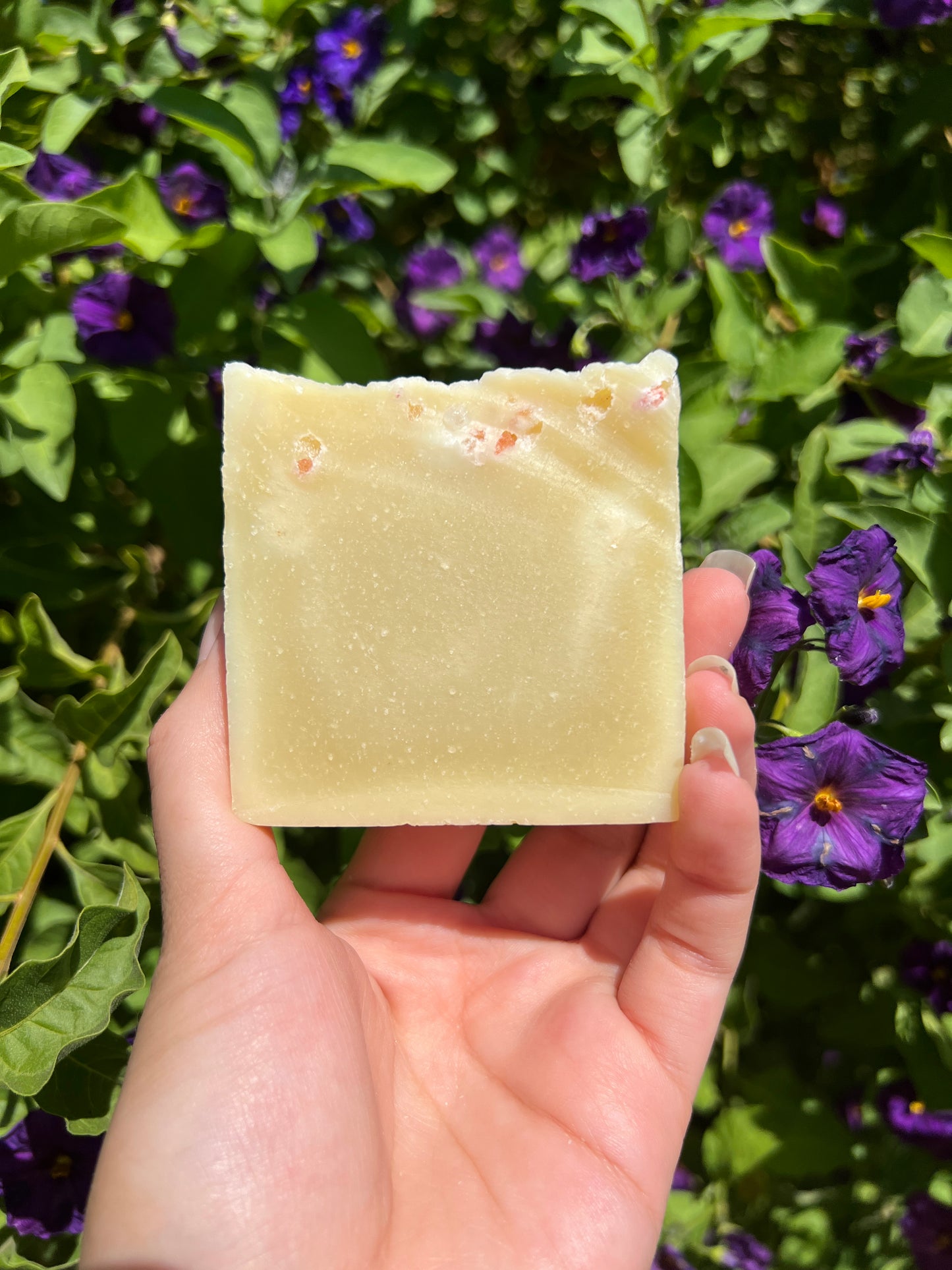 Spellbound Mountain Soap