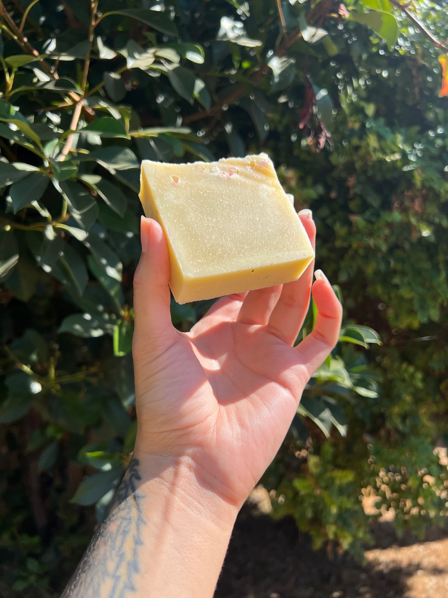 Spellbound Mountain Soap